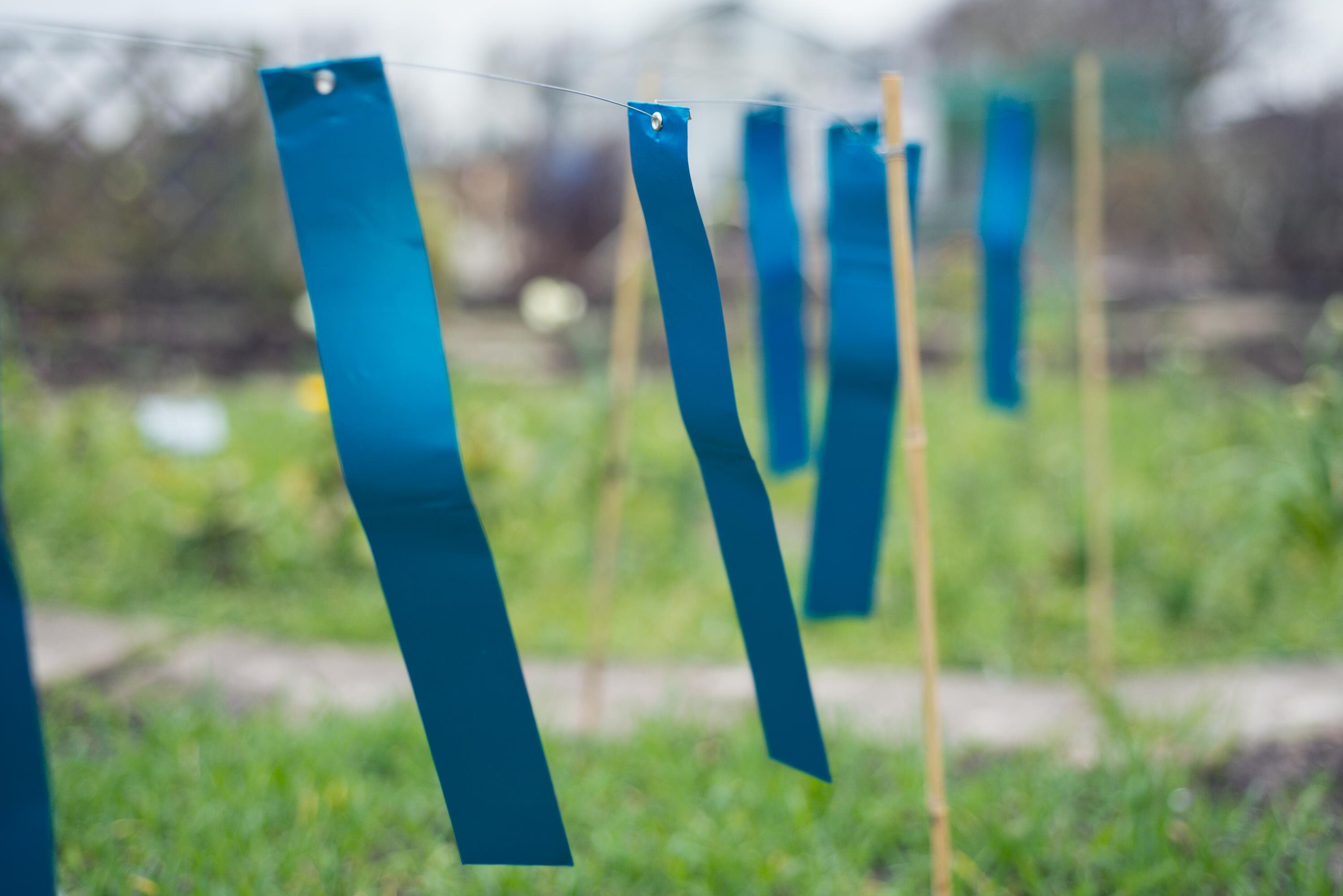 Nature Vogelschrikstrips Aluminium - Tegen Vogels Nature Vogelschrikstrips Aluminium - Tegen Vogels