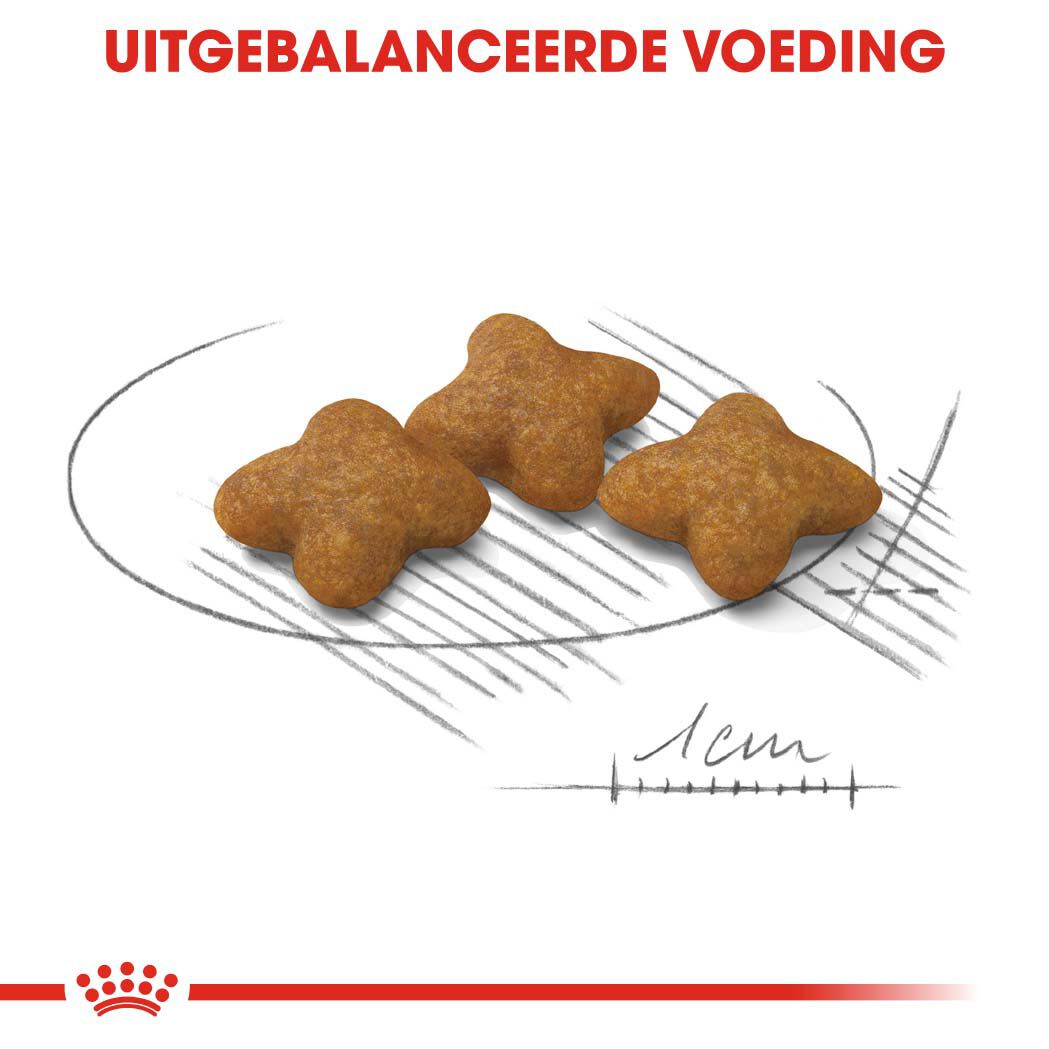 Royal Canin X-Small Sterilised - Hondenvoer - 1.5 - gevogelte