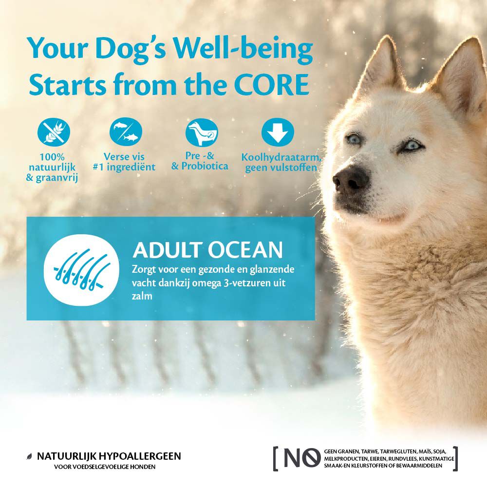 Wellness CORE Adult Ocean Medium-Large- Breed - Hondenvoer - 1.8 - tonijn, zalm