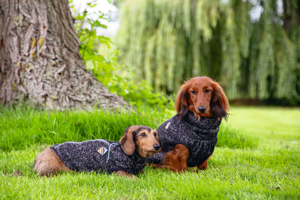 Beeztees Celia - Hondentrui - donkergrijs - 32 cm - S/m