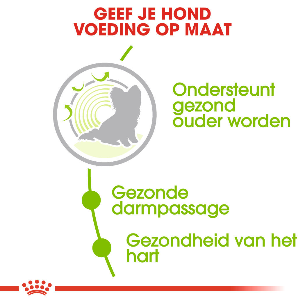 Royal Canin X-Small Adult 12+ - Hondenvoer - 1.5 - gevogelte