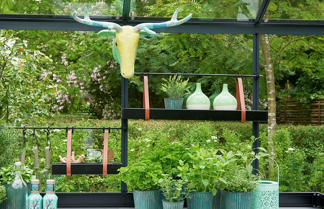 JULIANA Hanging Tray - Kweekschap - 6.00 cm - Zwart - 14.50 cm - 76.00 cm
