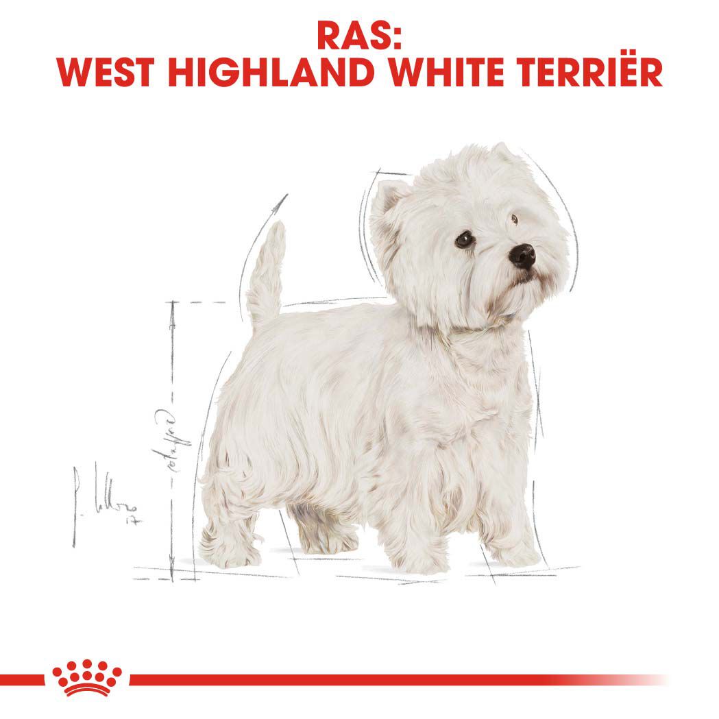 Royal Canin West Highland White Terrier Adult - Hondenvoer - 1.5 - gevogelte