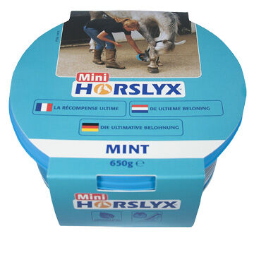 Horslyx Mini - Liksteen - 650 - munt