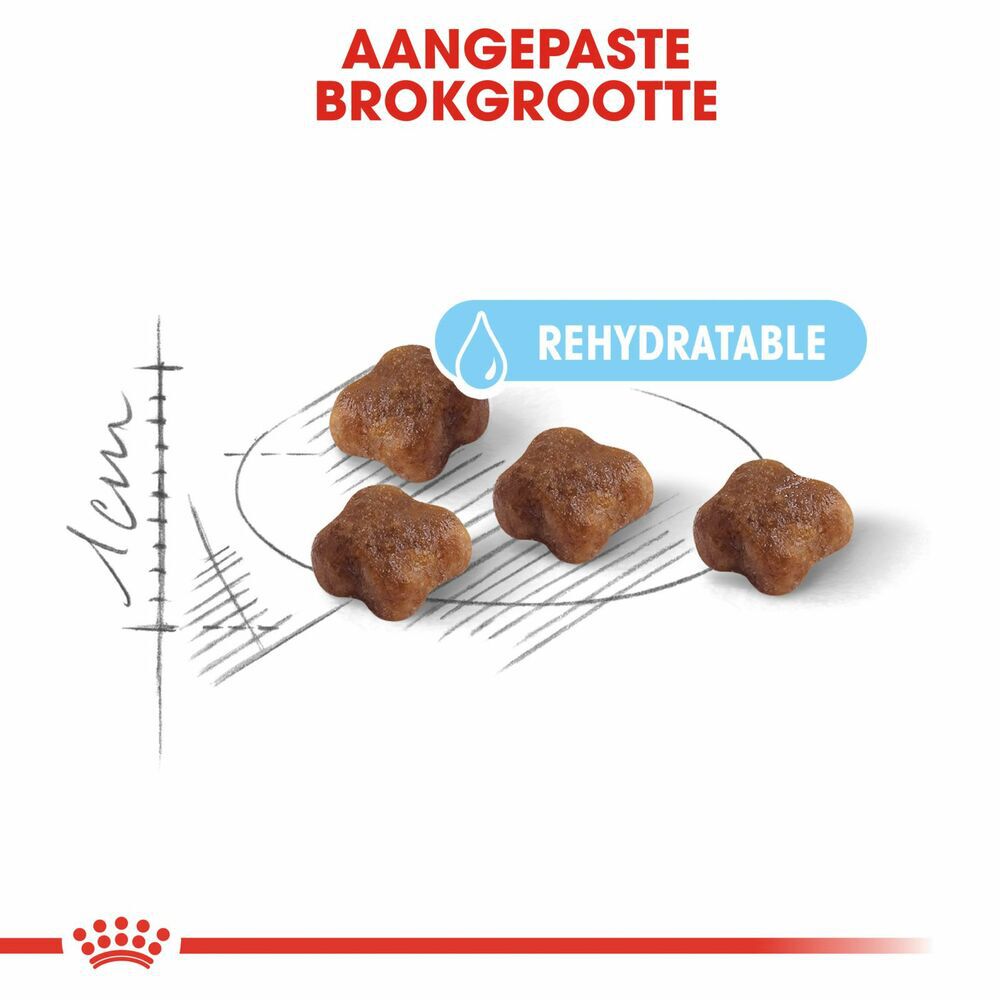 Royal Canin Mother & Babycat - Kattenvoer - 2 - Gevogelte