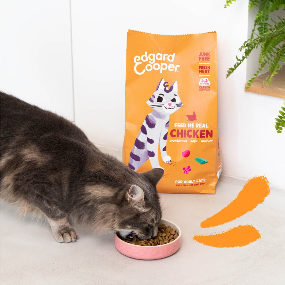 Edgard & Cooper Brokjes - Kattenvoer - Kip - 4 kg