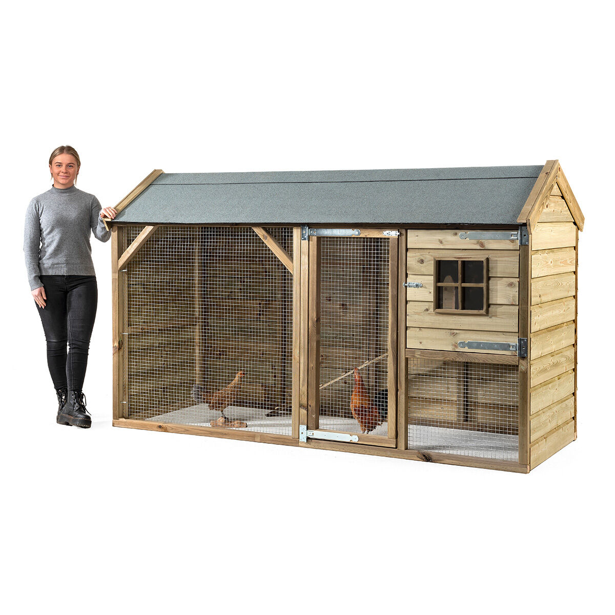 Glorenza  Kiki - Kippenhok