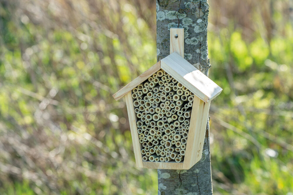 CJ Wildbird Foods Pinta - Insectenhotel - Naturel