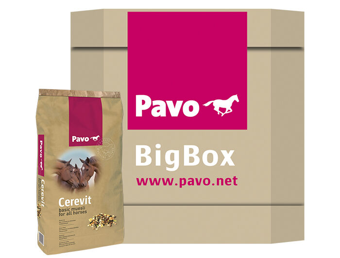 Pavo Cerevit - Basisvoeding - 600 kg - Bigbox