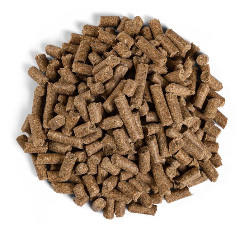 Equilannoo Sport Cube - Sport/ Prestatie - 20