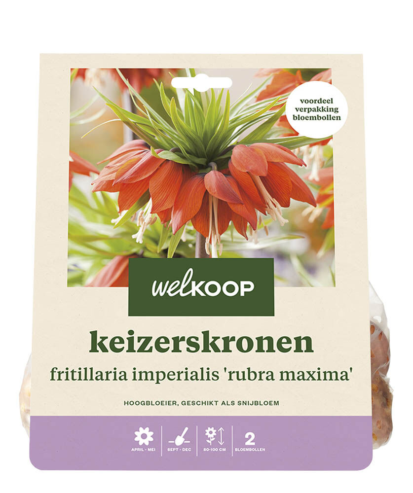 Welkoop Keizerskronen Sanja - Bloembollen Welkoop Keizerskronen Sanja - Bloembollen