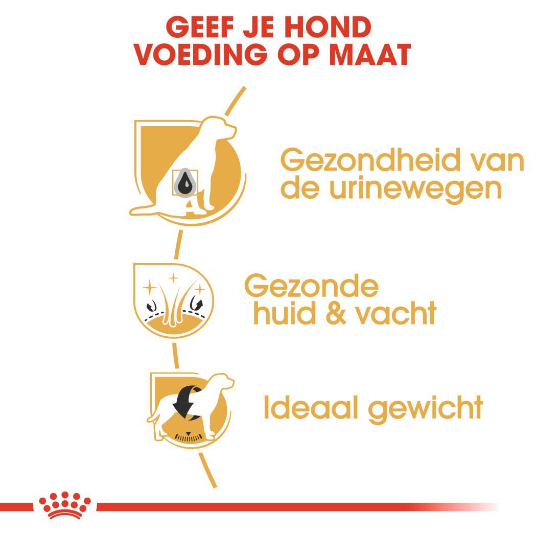 Royal Canin Bichon Frisé Adult - Hondenvoer - 1.5 - gevogelte