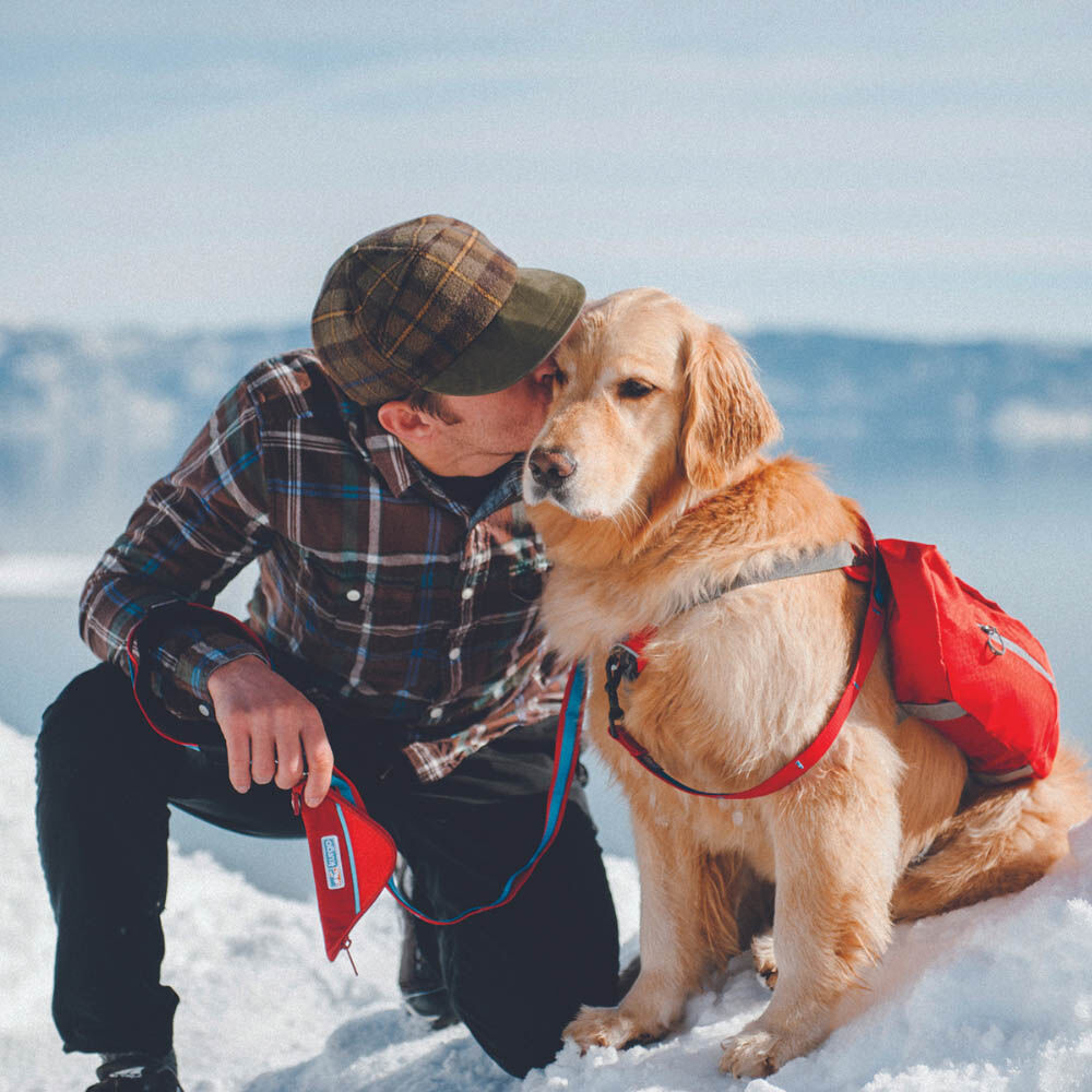 Kurgo Big Baxter Hondenrugzak - Reistas