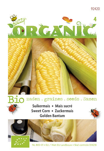 Buzzy Suikermais Zea mays Golden Bantam - Mais Buzzy Suikermais Zea mays Golden Bantam - Mais