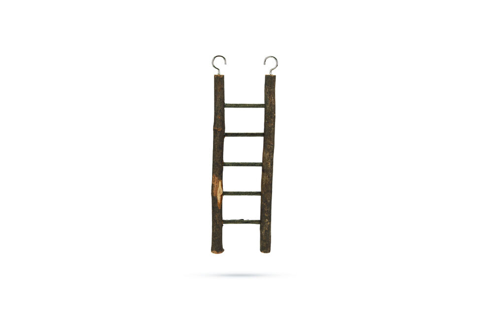 Beeztees Zi Ladder - Vogelspeeltje Beeztees Zi Ladder - Vogelspeeltje