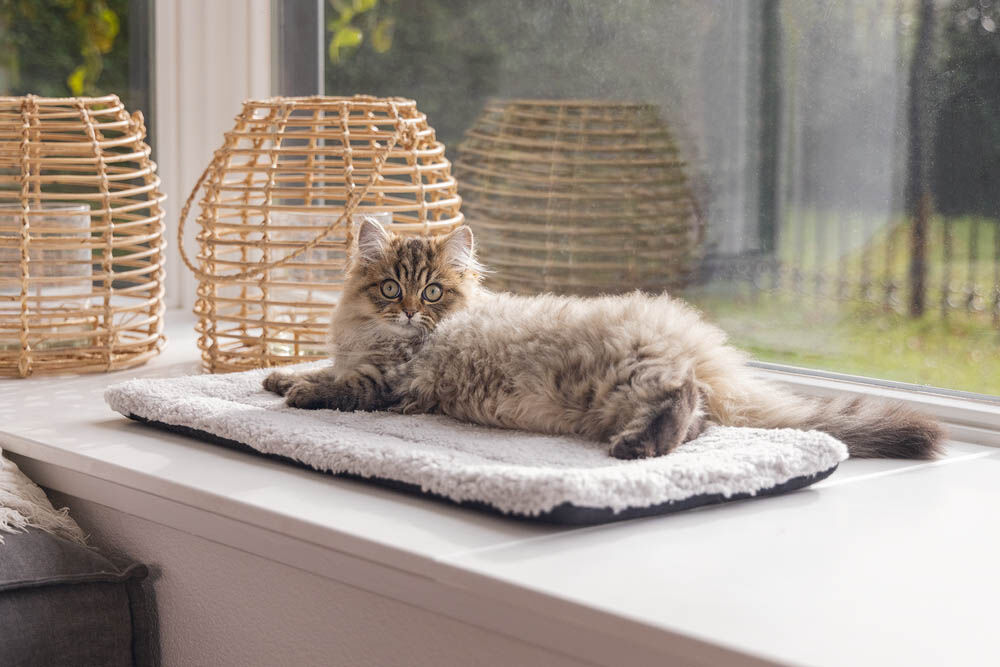 Beeztees Moos - Vensterbankmat - Wit - 3x27x1 cm