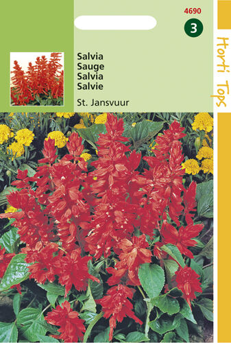 Hortitops Salvia st Jansvuur - Bloemzaden Hortitops Salvia st Jansvuur - Bloemzaden
