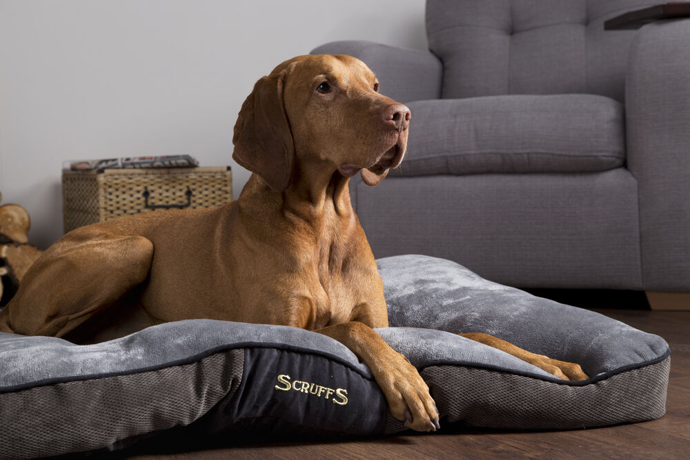 Scruffs Chester - Hondenkussen - 1.00 cm - grijs - 82.00 cm - L - 1.00 cm