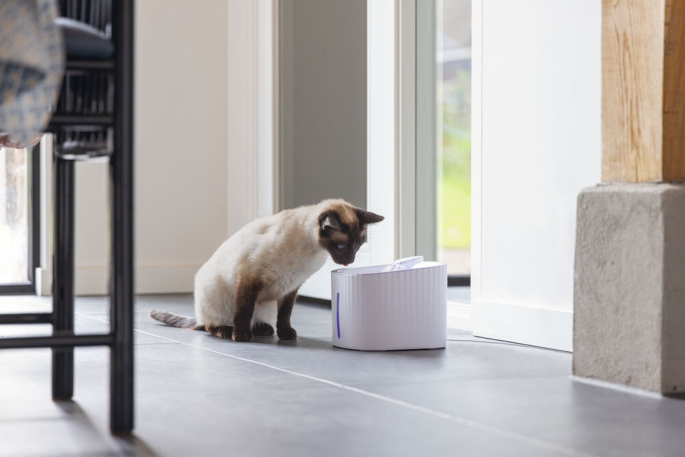 Beeztees Sjors - Drinkfontein Kat - 3 liter - Wit - 20.6x19.5x20.6 cm