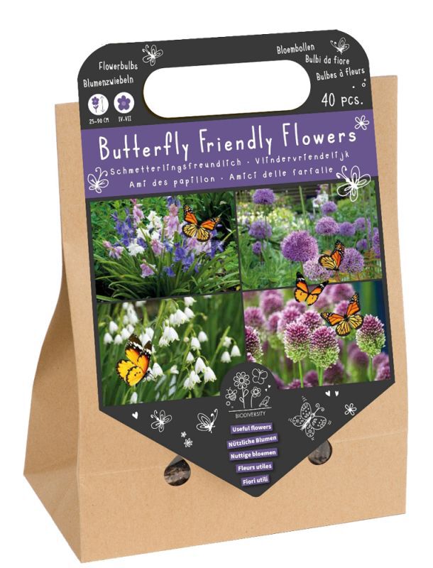 Welkoop Zomerklokje  Allium Spaanse Boshyacint - Biodiversiteit - Bloembollen