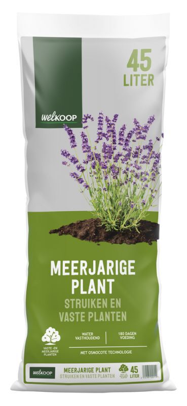 Welkoop Meerjarige plant - Potgrond Welkoop Meerjarige plant - Potgrond