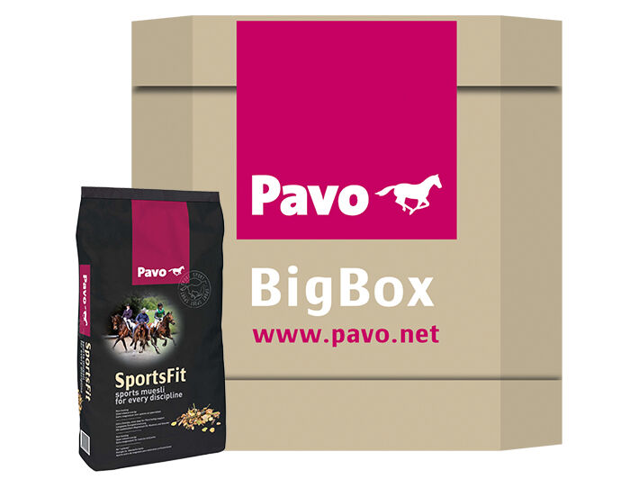 Pavo Sportsfit - Sport/ Prestatie - 450 kg - Bigbox