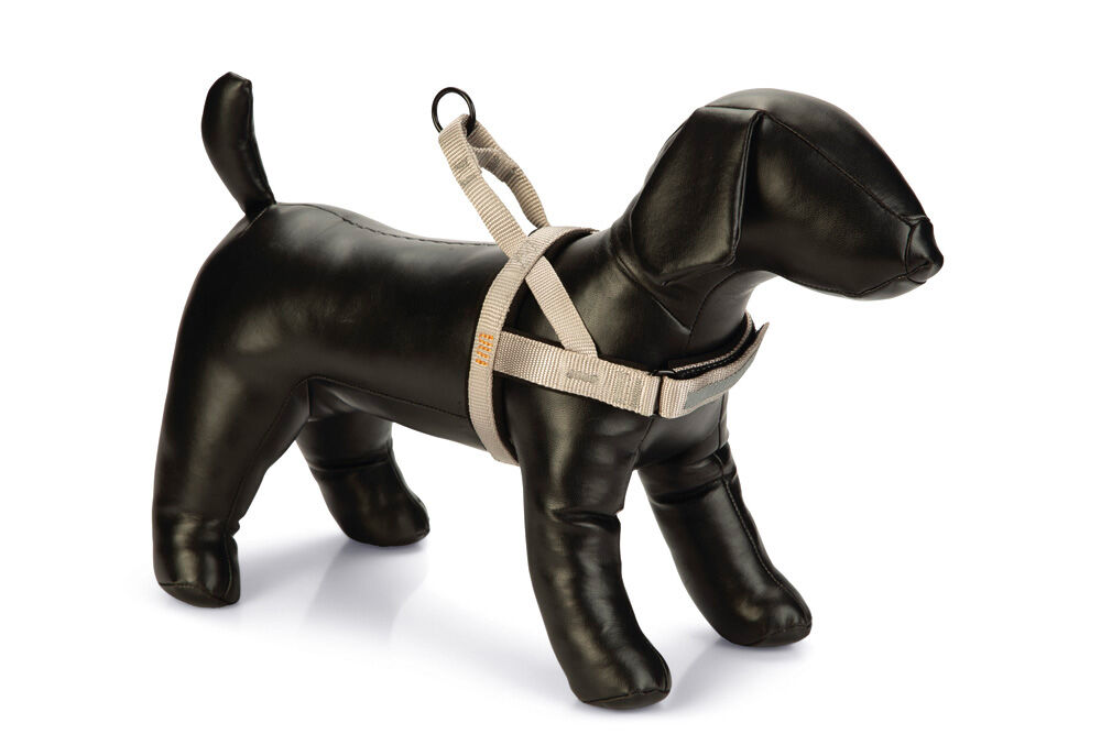 Beeztees Premium Parinca - Hondentuig - grijs - 20 mm - 32 tot 43 cm Beeztees Premium Parinca - Hondentuig - grijs - 20 mm - 32 tot 43 cm