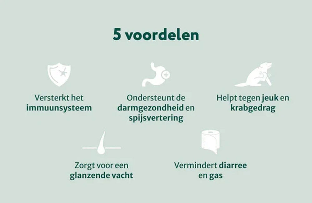 Dogsuppy Probiotica Forte kip - Spijsvertering en darmflora - kip