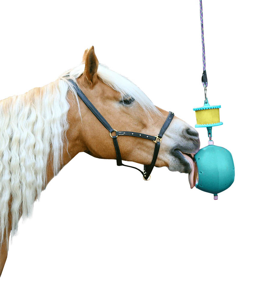 LIKIT Boredom Breaker - Paardenspeelgoed - Aqua