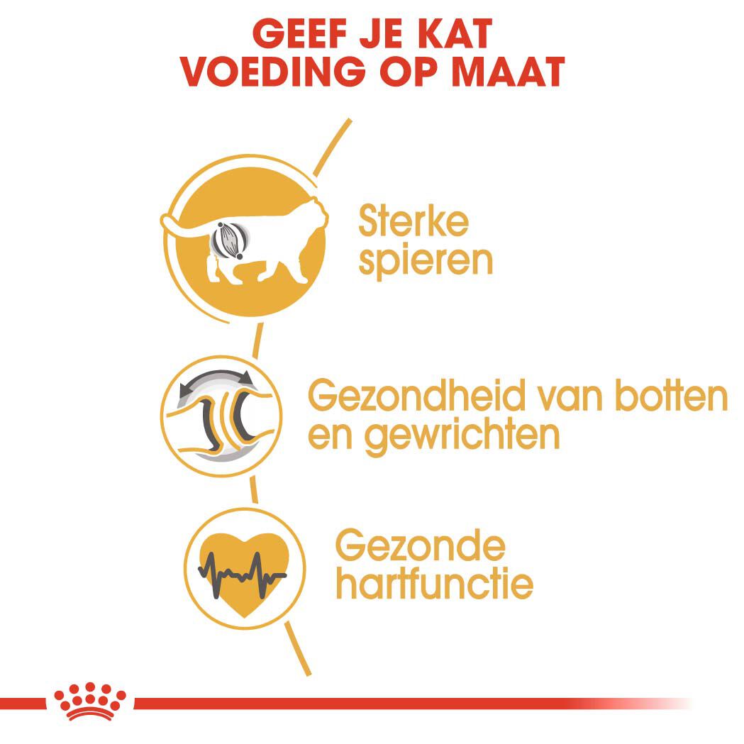 Royal Canin Britse Korthaar Adult - Kattenvoer - 10 - Gevogelte