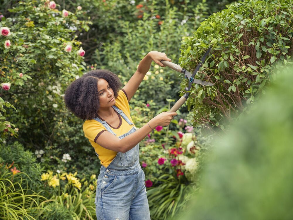 Gardena NatureCut - Hand heggenschaar - Grijs