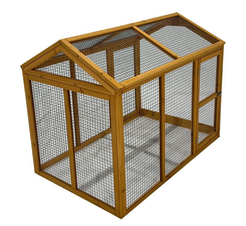 Forrest - Kippenren Forrest - Kippenren