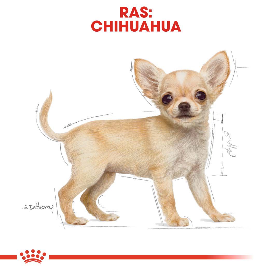 Royal Canin Chihuahua Puppy - Hondenvoer - 1500 - gevogelte