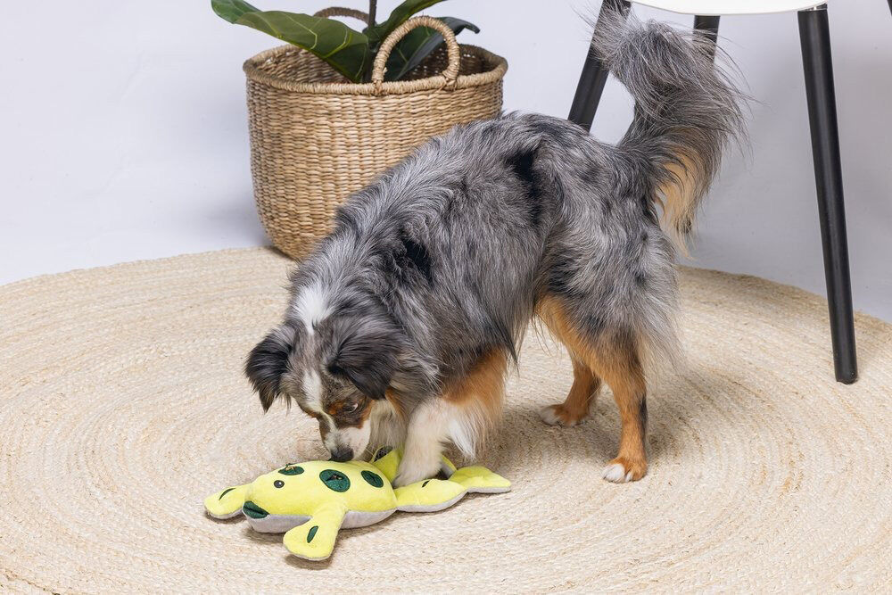 Beeztees Hide and Seek Kikker - Snuffelmat - Hondenspeelgoed - 7x20x31 cm