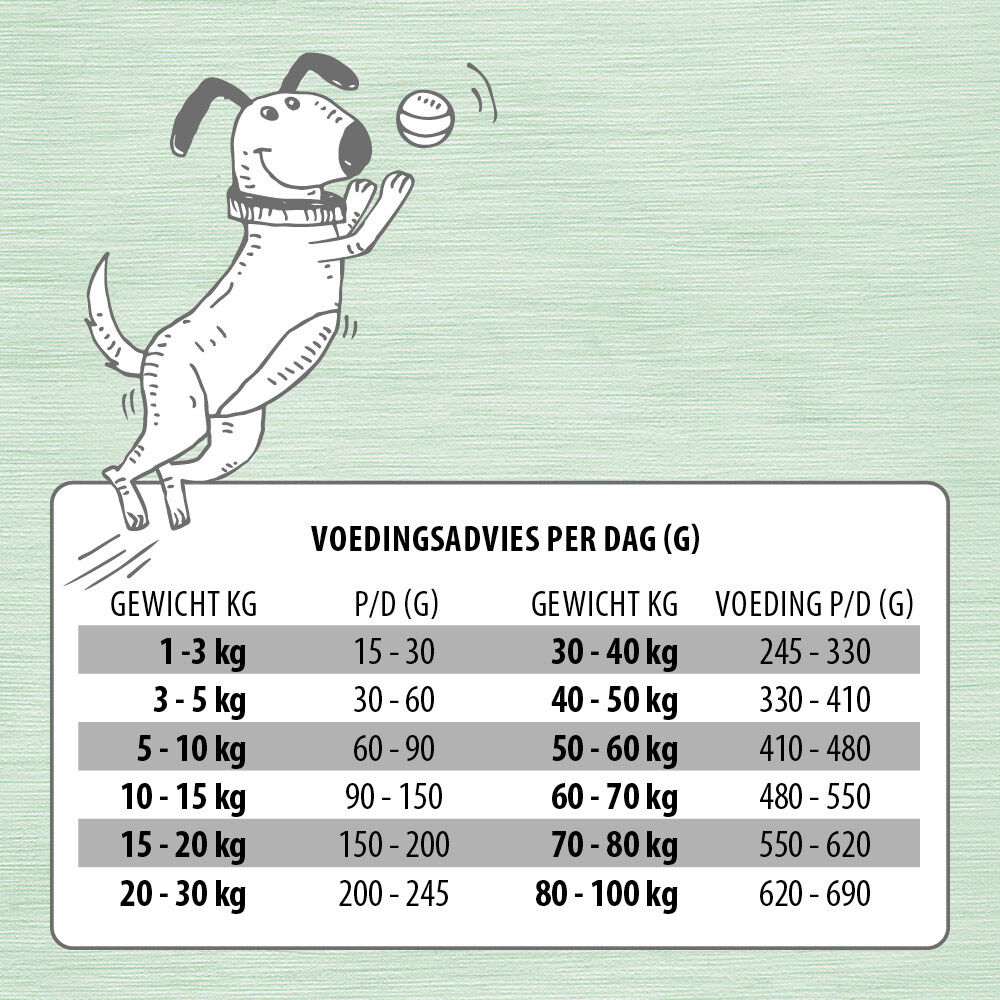 Jarco Dog Active - Hondenvoer - 12.50 - kalkoen, eend