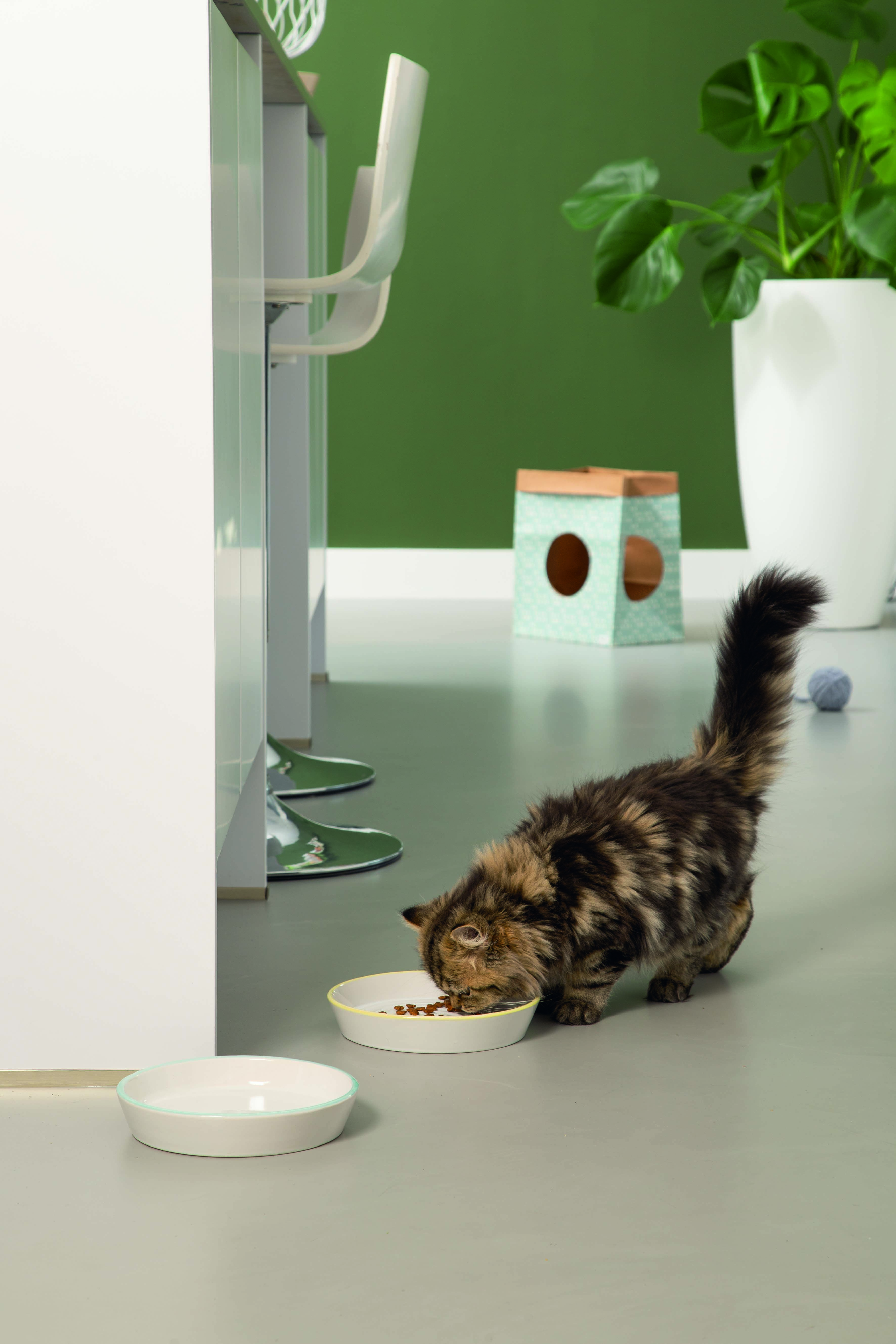 Beeztees Zina Kitten - Voer en drinkbak - 0.40 l - 1.00 cm - Wit/Geel - 17.50 cm - 1.00 cm