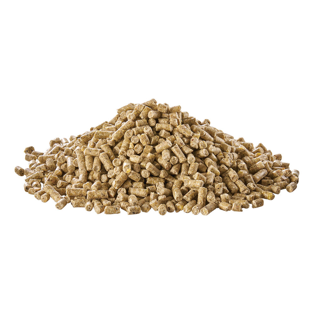 Welkoop Opgroeikorrel - Kuikenvoer - 20 kg