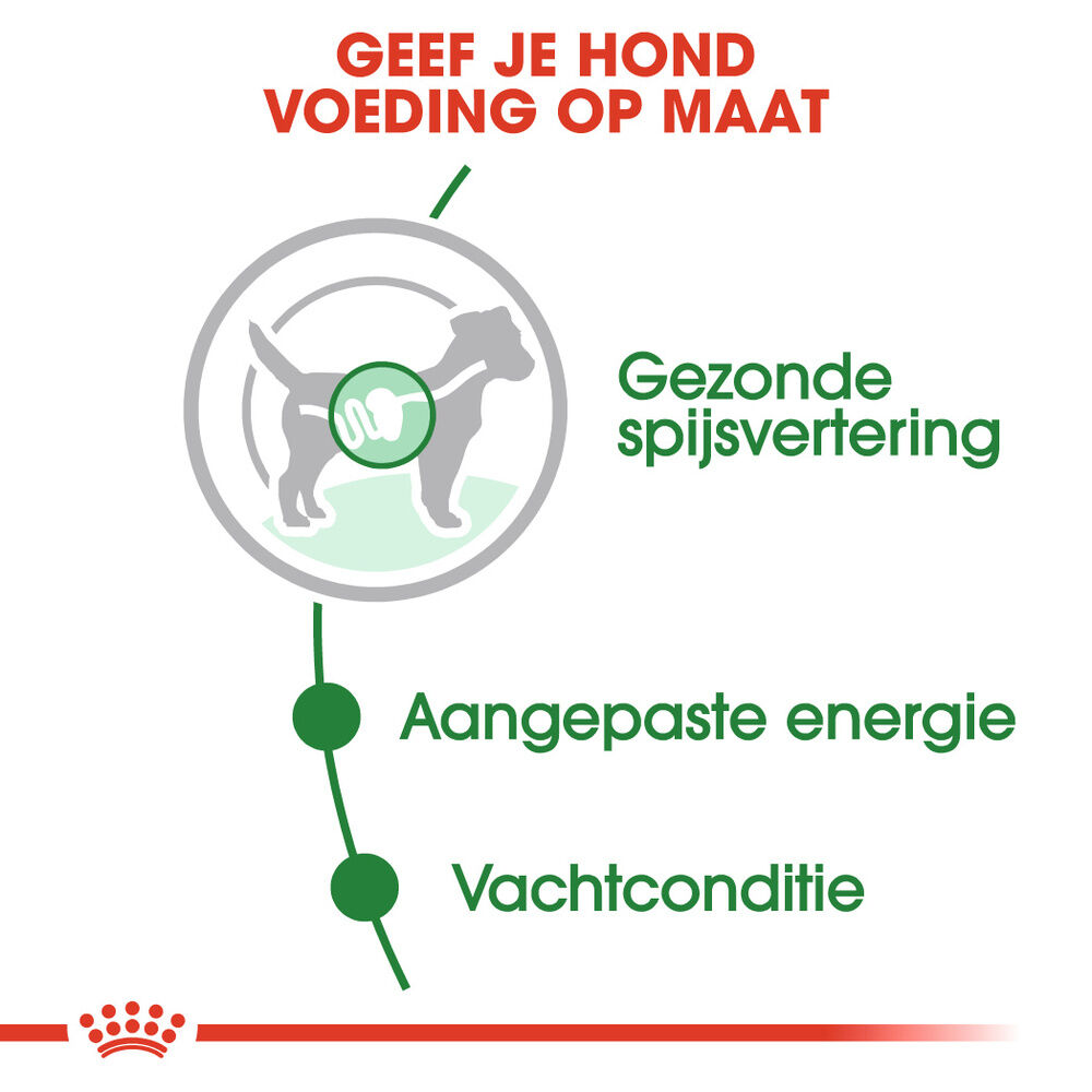 Royal Canin Mini Adult - Hondenvoer - 1020 - gevogelte