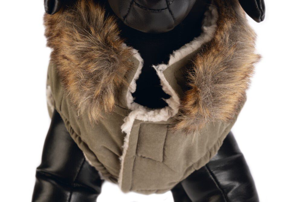 Designed by Lotte Philos - Hondenjas - groen - 24 cm - XS