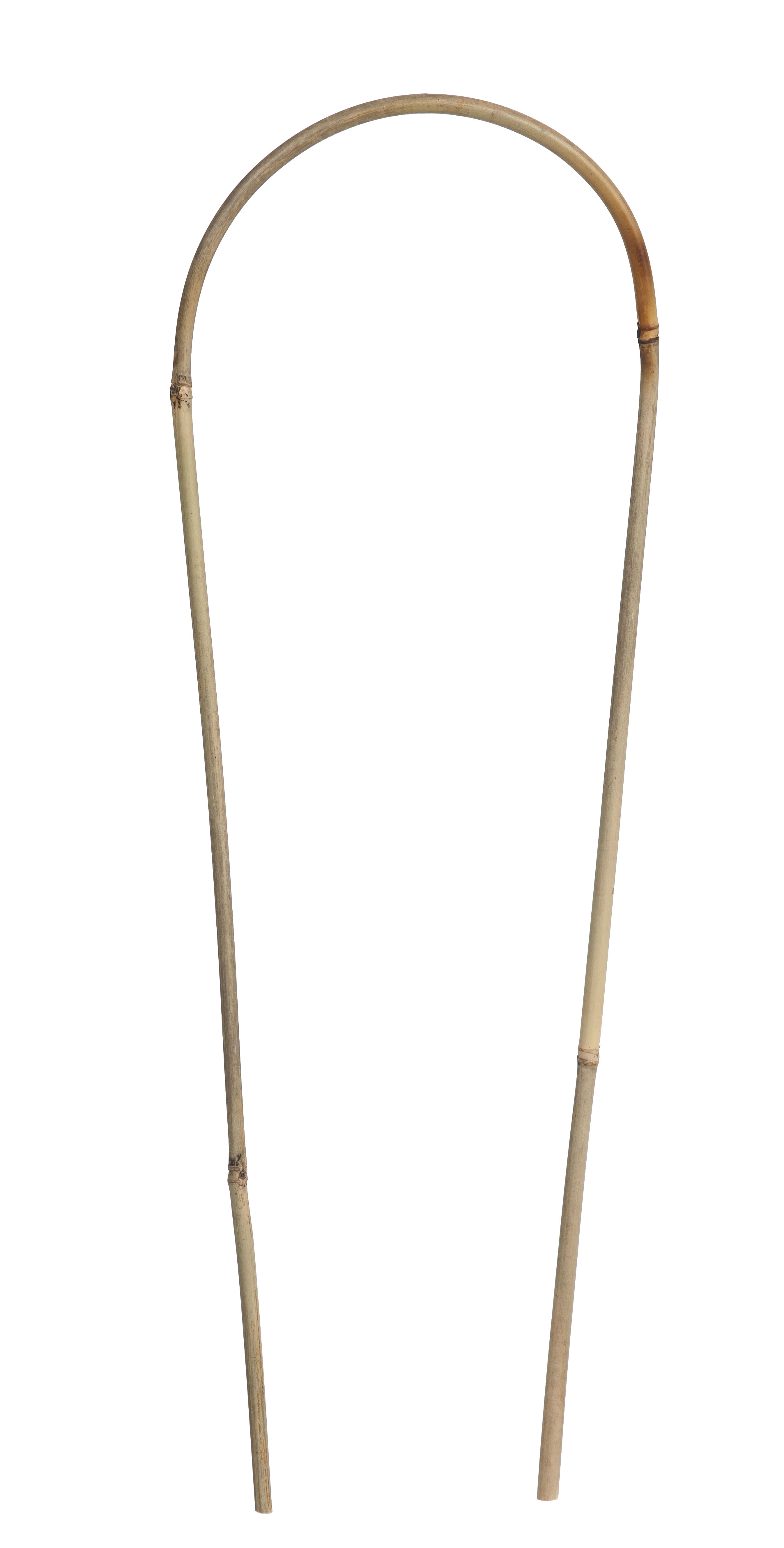Nature Bamboestok Gebogen - Klim- en Geleide Artikelen - 180.00 cm - 4.00 cm - 1.00 cm - 180.00 cm - 6.00 cm