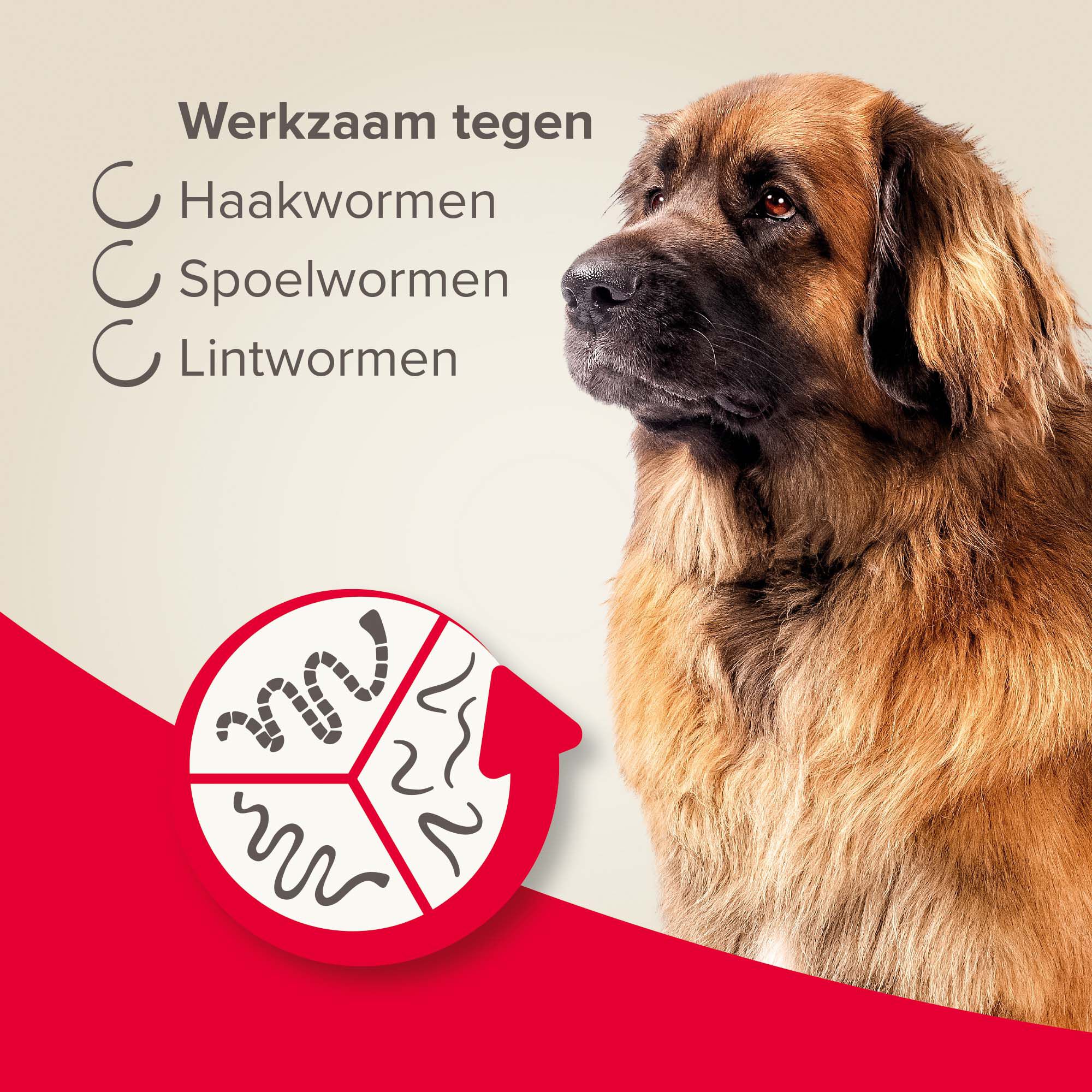 Beaphar All-in-one Tabletten - Ontwormen Hond - M/L