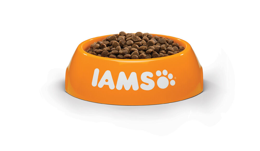 IAMS Kitten & Junior - Kattenvoer - 10 - kalkoen, kip