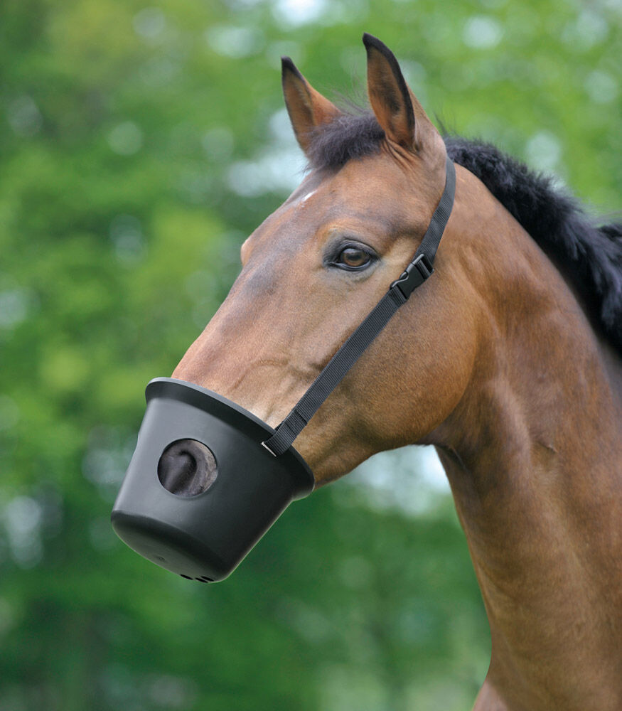 Waldhausen - Muilkorf paard