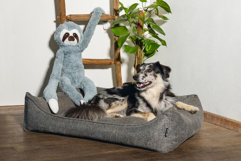 Beeztees Luiaard Knuffel - Hondenspeelgoed - 16.00 cm - null - 30.00 cm - XL - 80.00 cm