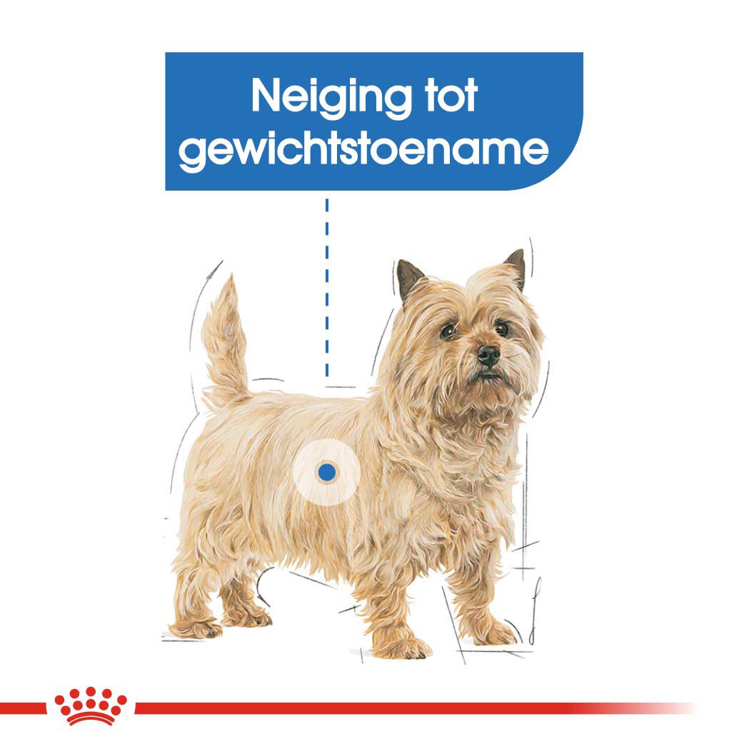 Royal Canin Light Weight Care Wet - Hondenvoer - 1020 - gevogelte