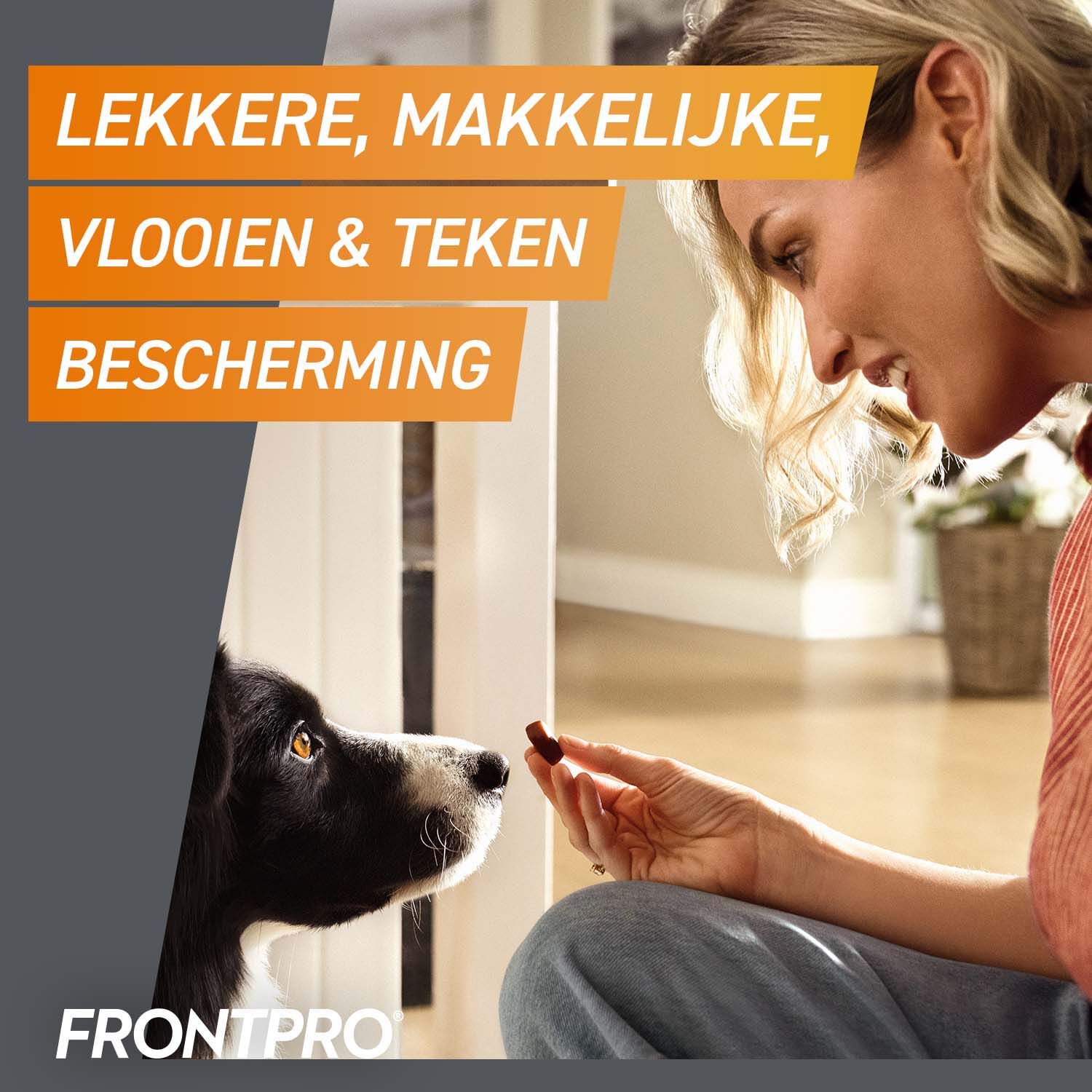 Frontpro Kauwtablet - Anti Vlooien en teken Hond - S - S