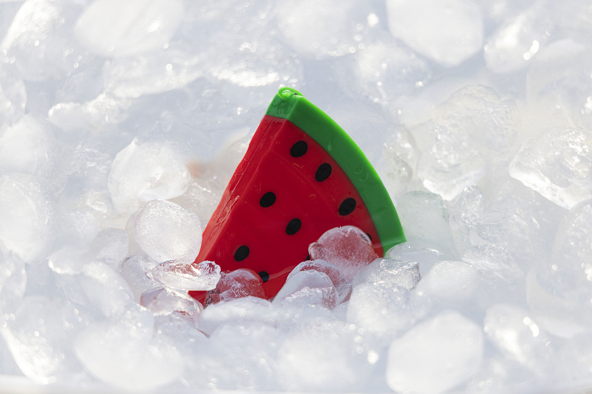 Beeztees Fill-n-Freeze Fruit - Waterspeelgoed Hond - 3.00 cm - assorti - 11.00 cm - 12.50 cm