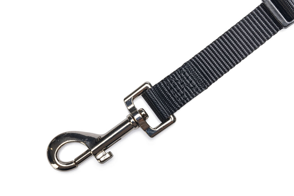 Beeztees   - Autogordel - Hond - zwart - S