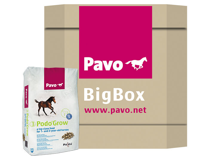 Pavo Podo Grow - Fokkerij - Paardenvoer - 725 - Bigbox Pavo Podo Grow - Fokkerij - Paardenvoer - 725 - Bigbox