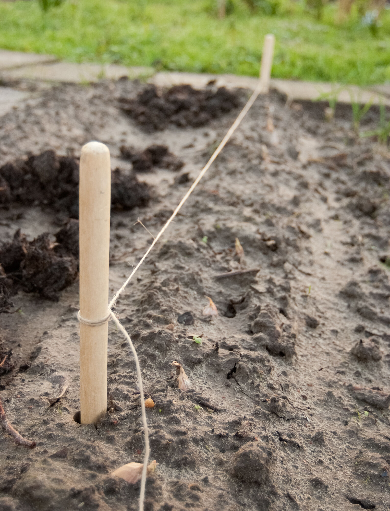 Nature Pootlijnset met Touw - Kweekbenodigdheden Nature Pootlijnset met Touw - Kweekbenodigdheden